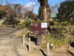 -名古屋城