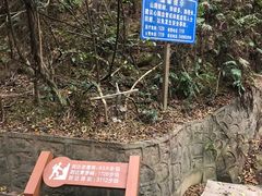 -滴水岩森林公园