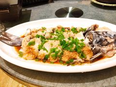 青椒蒸长江鮰鱼-好福记饭店(红梅公园店)