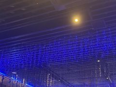 -千岛蚝高压锅生蚝·人参火锅(白云万达店)