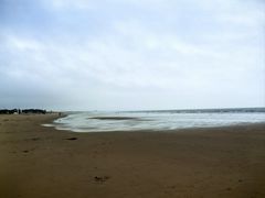 -日照海滨国家森林公园