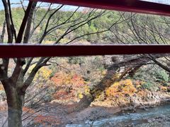 -岚山嵯峨野观光小火车