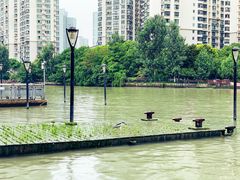 -苏州河梦清园环保主题公园