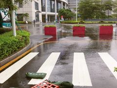 -深圳大学总医院