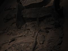 -北京大葆台遗址博物馆