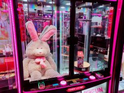 -嗨翻Hi-Fun竞技主题乐园·蹦床团建生日聚会(五棵松华熙店)