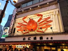 -大起水产回转寿司(道顿堀店)