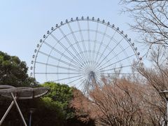 -蠡湖大桥公园