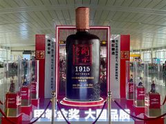-石家庄正定国际机场-T2航站楼