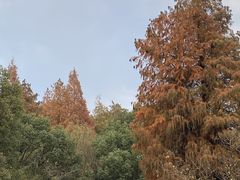 -同里国家湿地公园