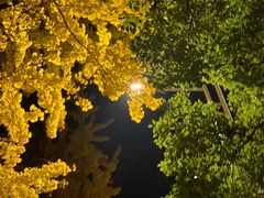 -新发现(苏州中心商场店)