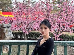 -中国翰园碑林