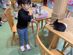-藦茜花园宠物主题亲子互动体验馆(国顺东路店)