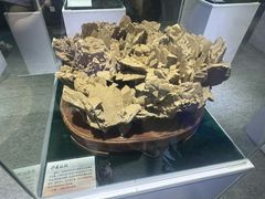 -中国第四纪冰川遗迹陈列馆