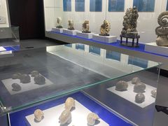 -贝壳王国博物馆