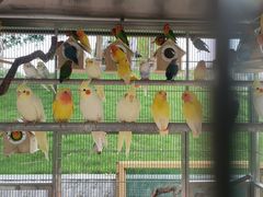 -瑞博尔花园酒店(太周创新产业园店)