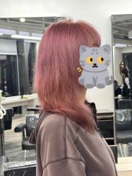 -sy杉影印象COLOUR专业烫染