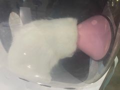 -暖阳宠物医院·犬猫康复中心·骨科