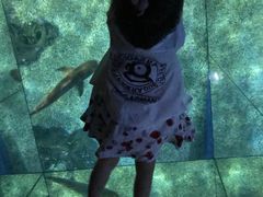 -暹罗海洋世界