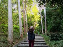 -火炉山森林公园