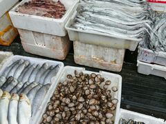 -芦潮港集贸市场