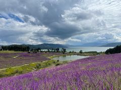 -华侨城阳宗海海景温泉