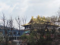 -玉佛苑