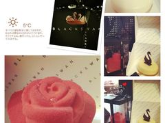 -BLACKSWAN黑天鹅(环球店)