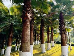 -重庆中央公园(渝北区)