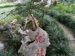 -十八棵（老龙井）御茶园(老龙井店)