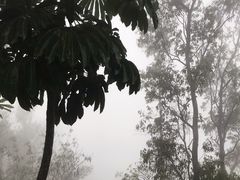 -小南山公园