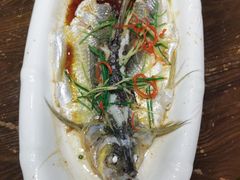 -醉美东江·三文鱼·烧鸡公