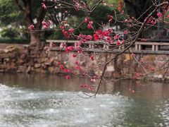 -无锡梅园公园