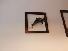 -AFS Cafe & Canteen(闽江二路店)