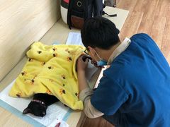 -乐派堂宠物医院·猫友好· 心脏科(东街店)
