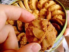 -珍妮曲奇聪明小熊(上环店)