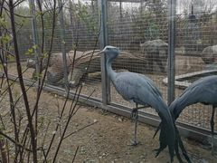 -齐齐哈尔龙沙动植物园