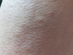 -水晶之星洗浴温泉汗蒸