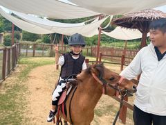 -杭州开元森泊度假乐园