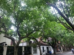 -星巴克(汾阳路店)