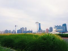 -黄浦江游览(十六铺3号码头)