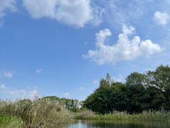 -同里国家湿地公园