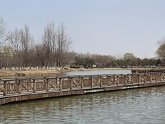 -西安浐灞国家湿地公园