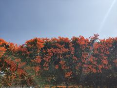 -中国移动南方基地