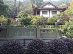 iphone_upload_pic-十八棵（老龙井）御茶园(老龙井店)