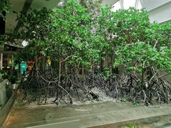 -中国湿地博物馆