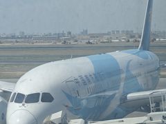 -乌鲁木齐天山国际机场-T3航站楼