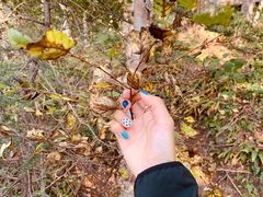 -白草畔自然风景区