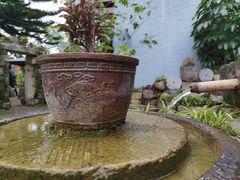 -靖西鹅泉风景区