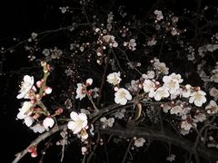 -白塘生态植物园